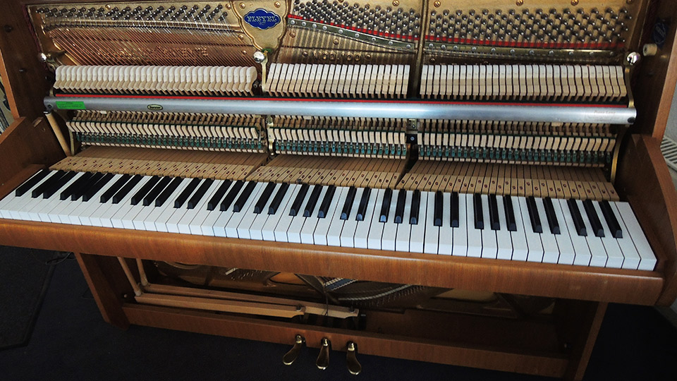 Pleyel-008