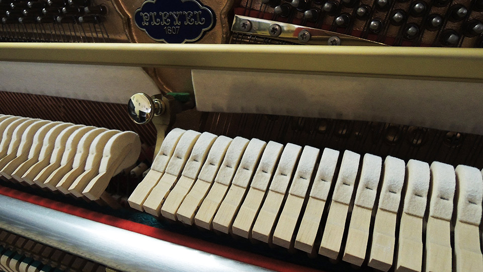 Pleyel-009