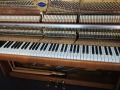 Pleyel-008