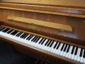 Pleyel-002