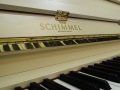 Schimmel-weiss-04