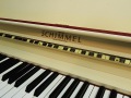 Schimmel-weiss-08