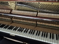 Seiler-nb-s013