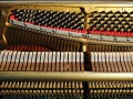 Steinway-Oellers-03