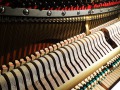 Steinway-Oellers-04