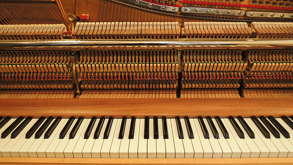 Steinway-Z-003