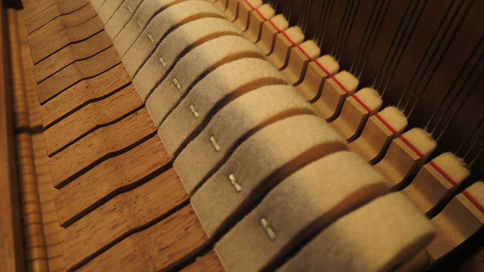 Steinway-Z-004