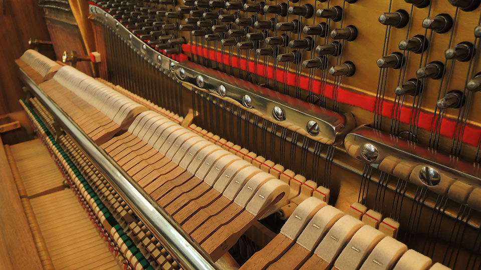 Steinway-Z-005