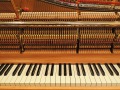 Steinway-Z-003