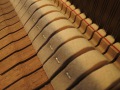 Steinway-Z-004