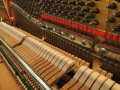 Steinway-Z-005