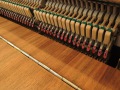 Steinway-Z-006