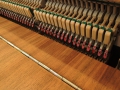 Steinway-Z-006
