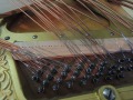 DSCN1547