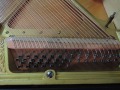 DSCN1557