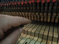 DSCN1796