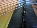 DSCN1345