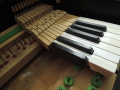 DSCN1629