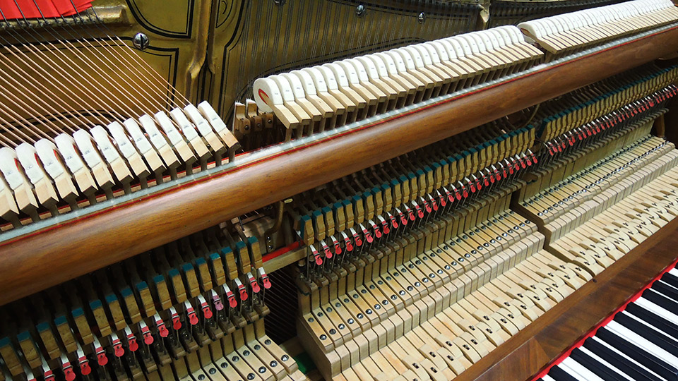 Gerhardt-4727-nb-Wurzel-005