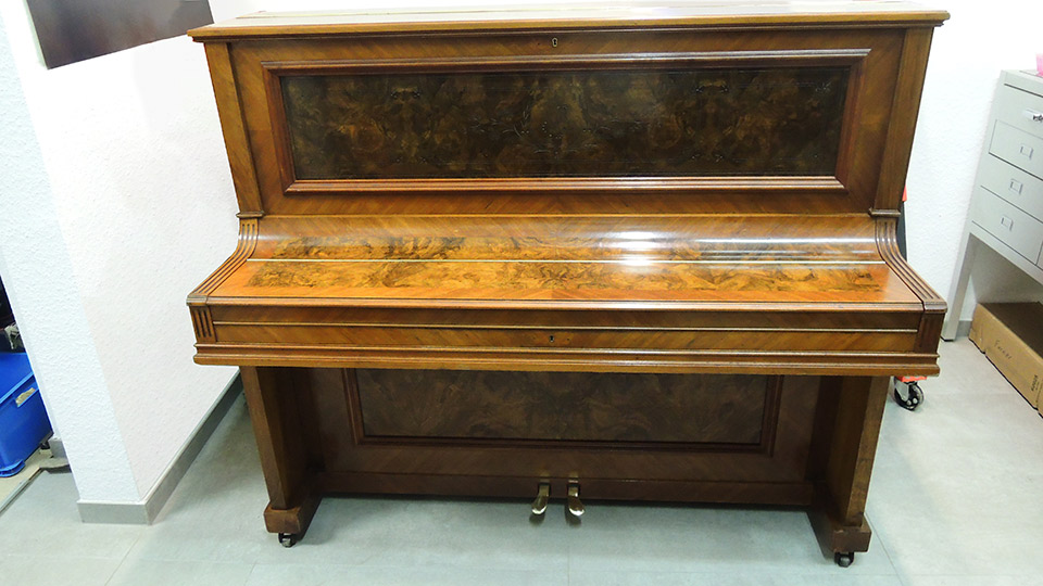 Gerhardt-4727-nb-Wurzel-008