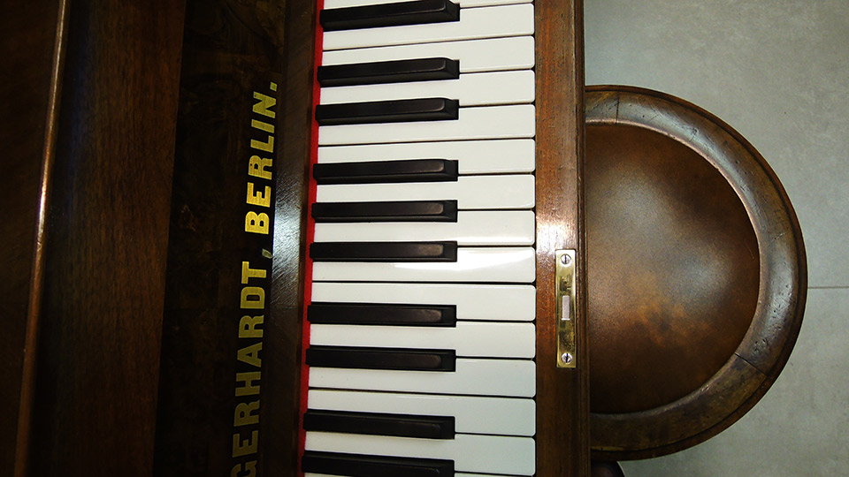 Gerhardt-4727-nb-Wurzel-010