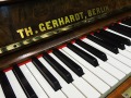 Gerhardt-4727-nb-Wurzel-004