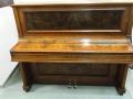 Gerhardt-4727-nb-Wurzel-008