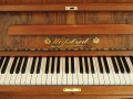 Weissbrod-Gangelt-002