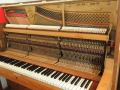 Weissbrod-Gangelt-004