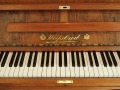 Weissbrod-Gangelt-002