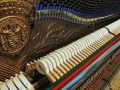 Weissbrod4731-012