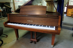 Yamaha G1