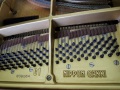 G1-nb-FRA-005