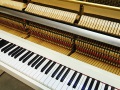 LU-201C-007