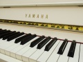 LU-201C-003