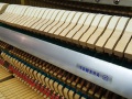 LU-201C-006