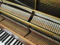 Yamaha-M1-006