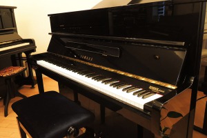 Yamaha P-116 T