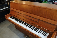 Yamaha P2