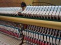 Yamaha-P2-004