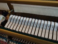 Yamaha-P2-006