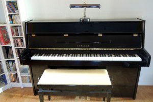 Yamaha E110N